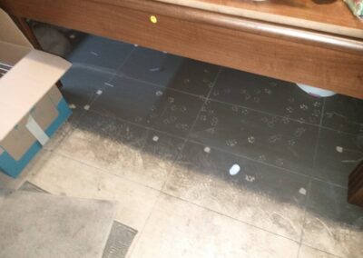 OGI Multifelx Floor Cleaning