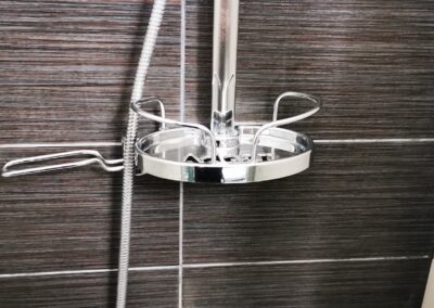 OGI Multifelx Cleaning Shower After
